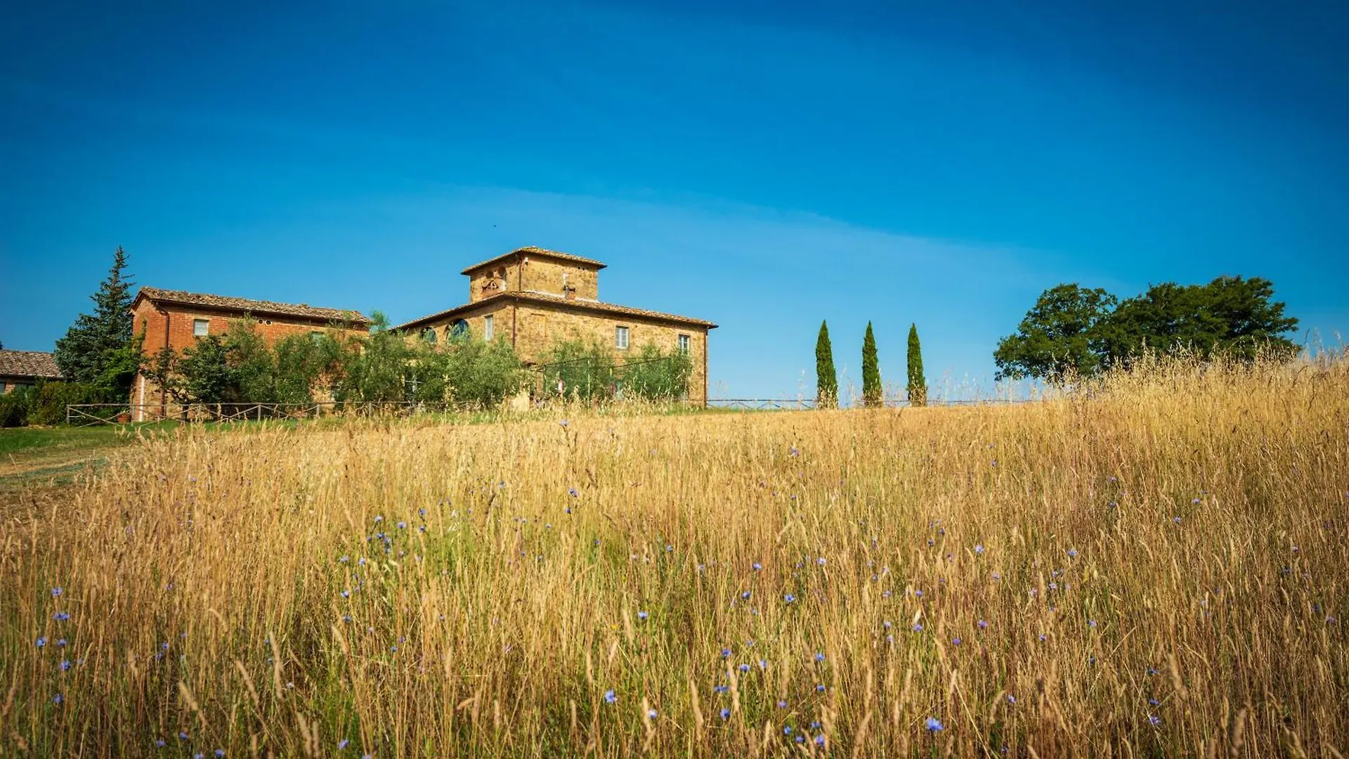 Villa Gagnoni Sinalunga Holiday home