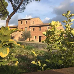 Podere La Ceppa1 Sinalunga